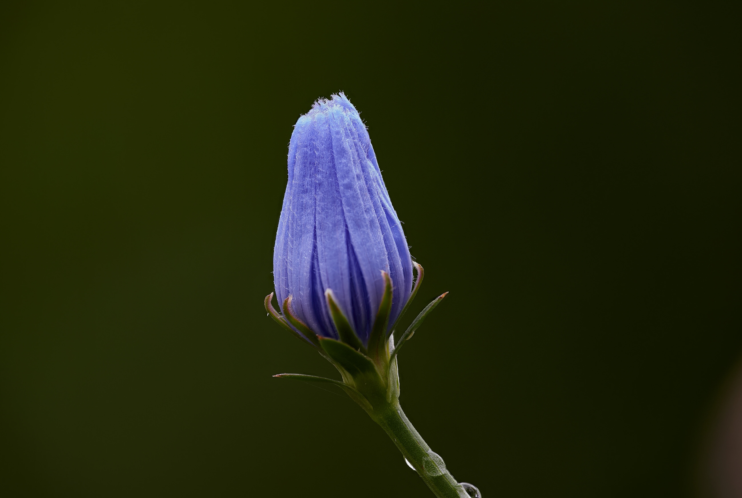 2019 07 30 00 42 53 (B,Radius4,Smoothing2)